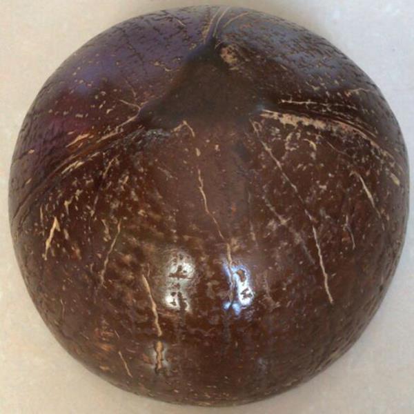 Berkhidmat mangkuk