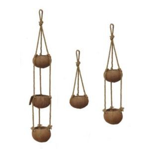 Kelapa Gula Kelapa Hijau Asli