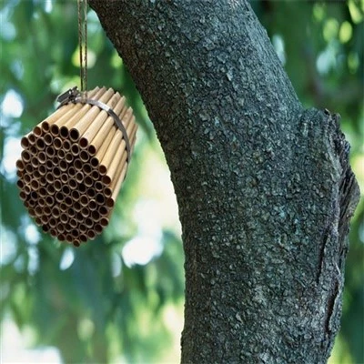 Isi Semula Reed Taman Luaran Memasukkan Mason Bee House
