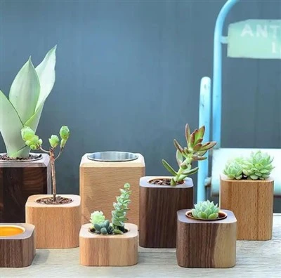 Waterpfoof Black Walnut Wood Desktop Deskulen Bunga Succulent Pot