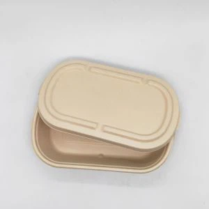 Rectangle Bagasse Container Makanan